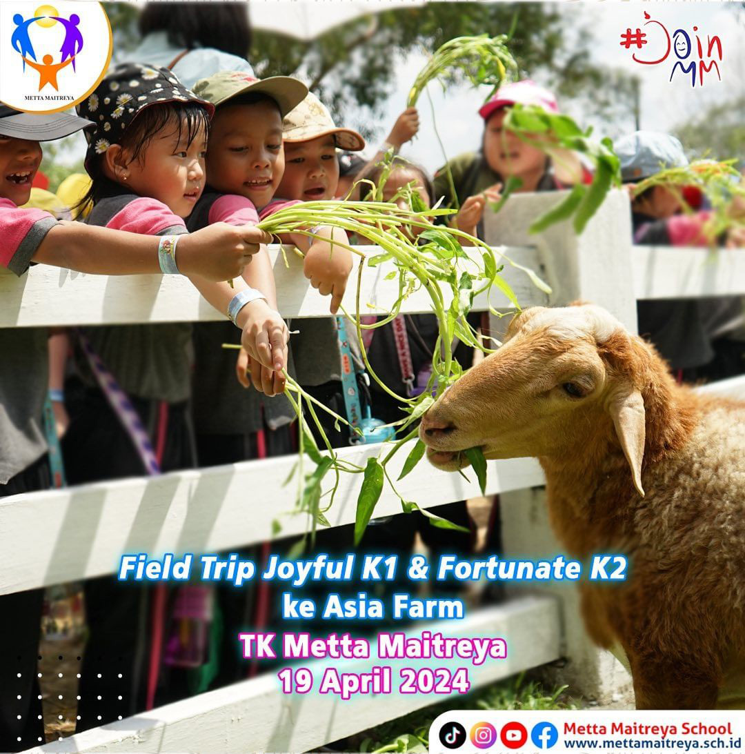 Highlight Kegiatan Field Trip Joyful K1 & Fortunate K2 ke Asia Farm | TK METTA MAITREYA